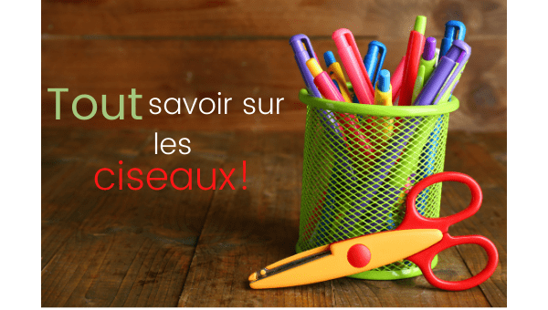 Tout savoir sur les ciseaux